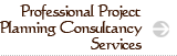 Professional Project Planning Consultancy Services